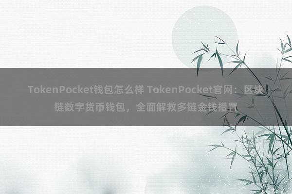 TokenPocket钱包怎么样 TokenPocket官网：区块链数字货币钱包，全面解救多链金钱措置