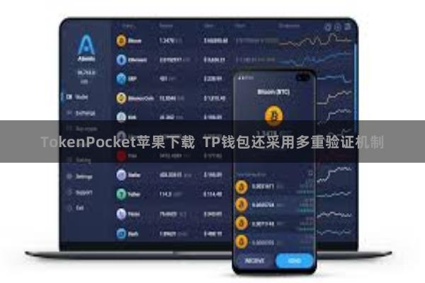 TokenPocket苹果下载  TP钱包还采用多重验证机制