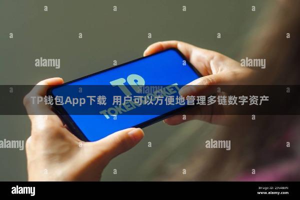 TP钱包App下载  用户可以方便地管理多链数字资产